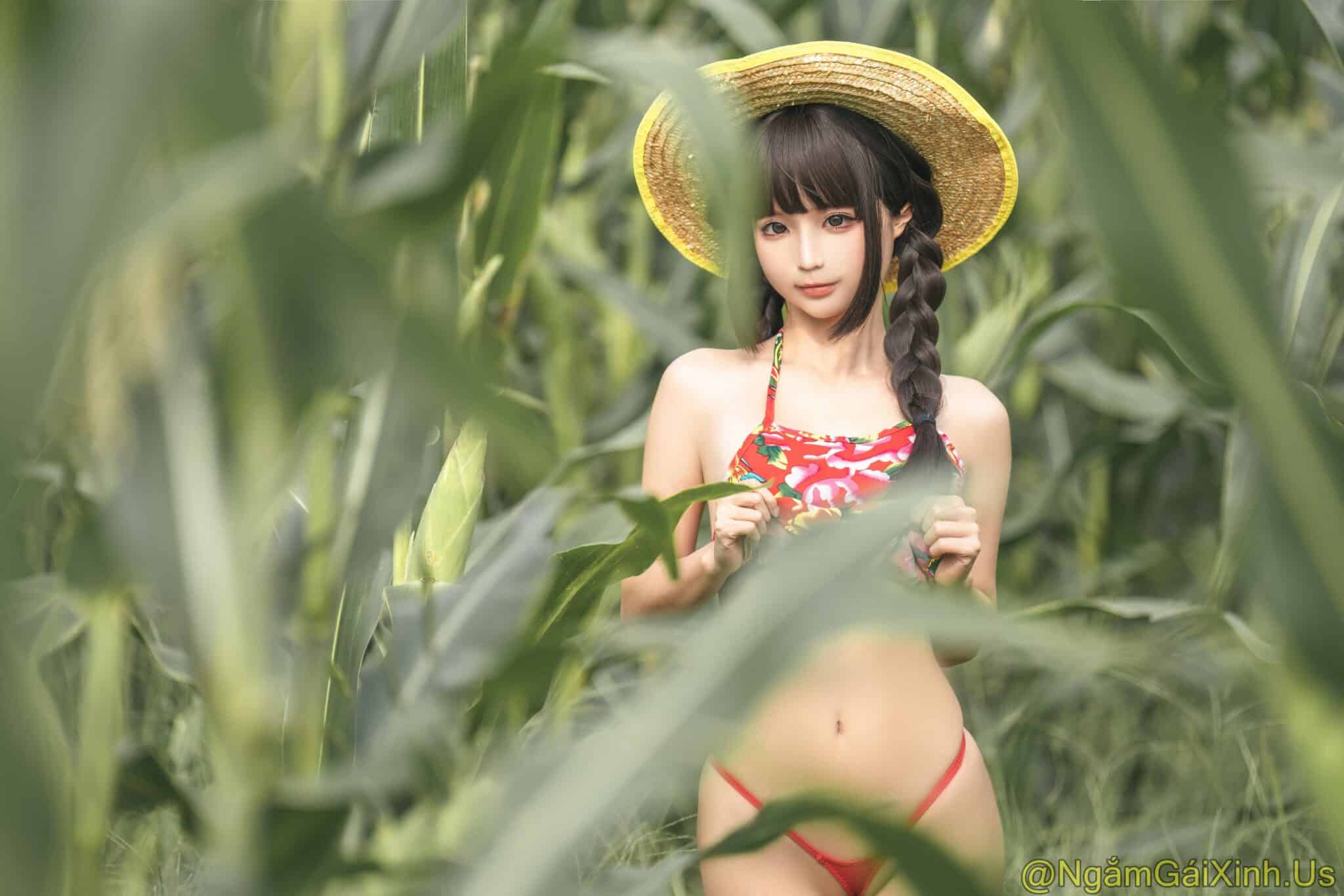 NGX_Cornfield Story_26